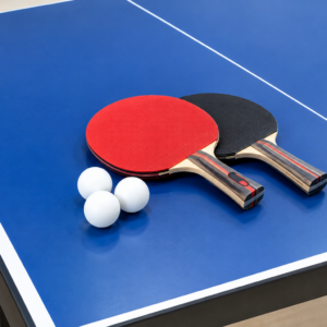 Table Tennis (Without Net)