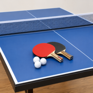 Table Tennis (With Net)